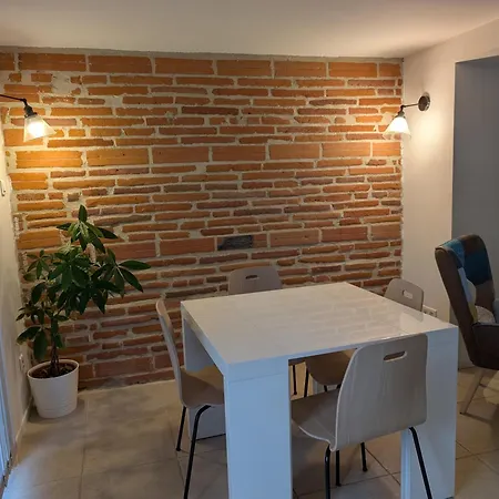 T2 Confort Avec Jardin Privatif Montauban